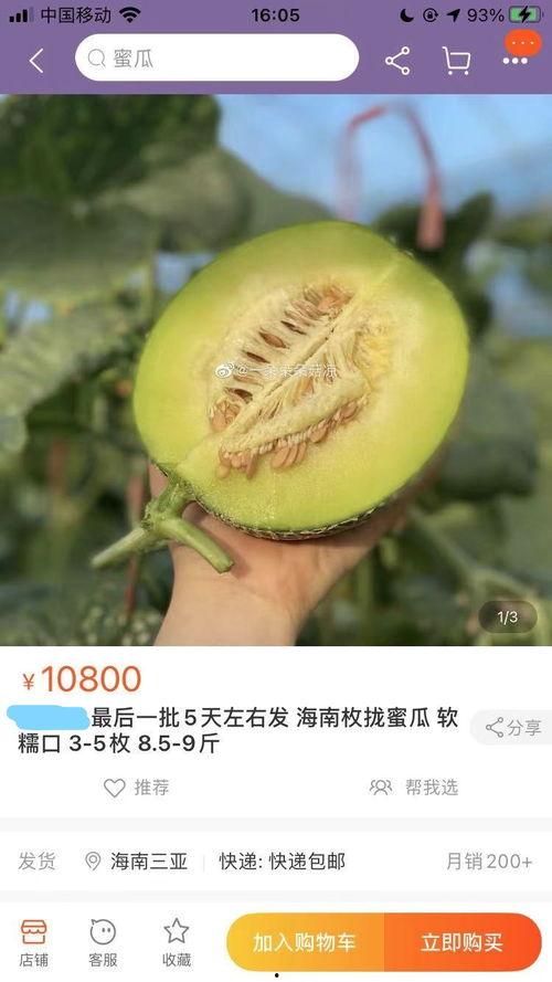 蜜瓜水果价格今日行情,价格波动解析与市场趋势洞察