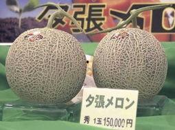蜜瓜水果价格今日行情,价格波动解析与市场趋势洞察