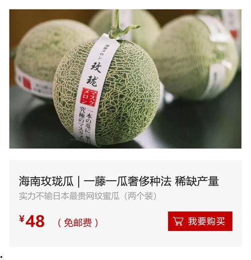 海南今日毛瓜价格,实惠之选，市场行情一览