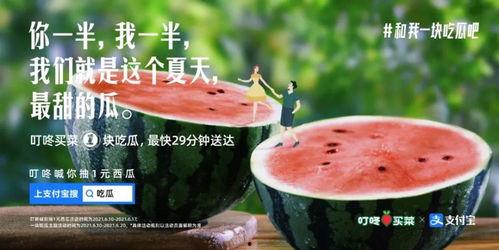 今日份瓜的文案,揭秘娱乐圈最新热点事件