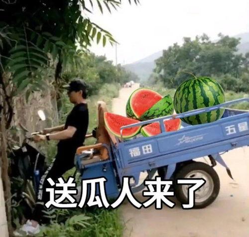 今日份瓜的文案,揭秘娱乐圈最新热点事件