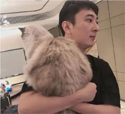 今日吃瓜王校长孙一宁,揭秘校园风云人物背后的故事”