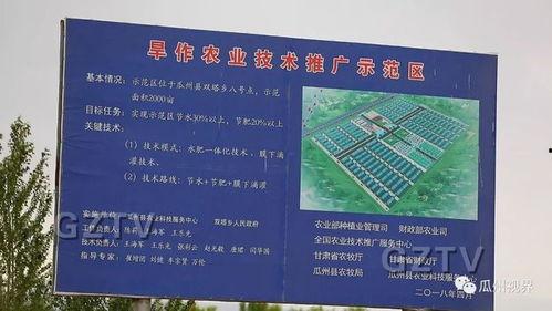瓜州县双塔镇今日头条,聚焦发展新动态，共话乡村振兴路