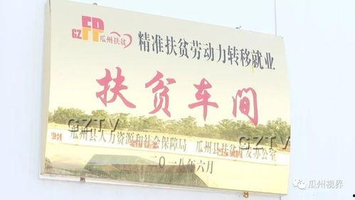 瓜州县双塔镇今日头条,聚焦发展新动态，共话乡村振兴路