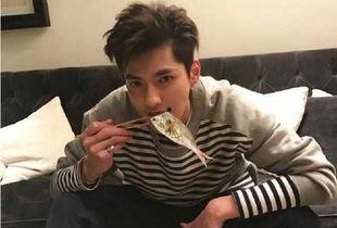 明星网红小鲜肉是谁呀,明星网红背后的故事
