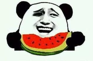 今日吃瓜一天,揭秘娱乐圈最新热点事件