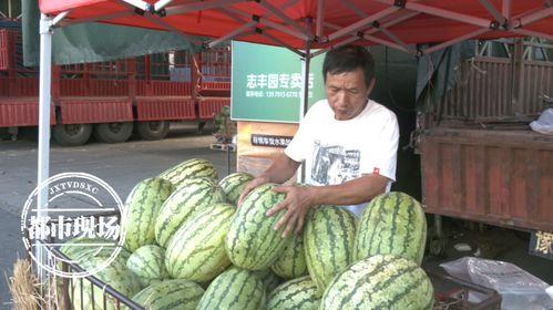 今日吃瓜一天,揭秘娱乐圈最新热点事件