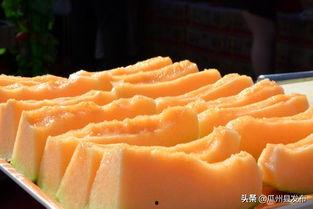 瓜州蜜瓜今日啥价格,品质之选，价格亲民