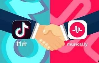 今日头条卖瓜直播,趣味互动，瓜王争霸，直播带货新风尚