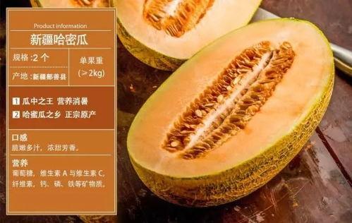 乐东沙地哈密瓜行情今日,今日行情火爆，甜蜜上市季来袭