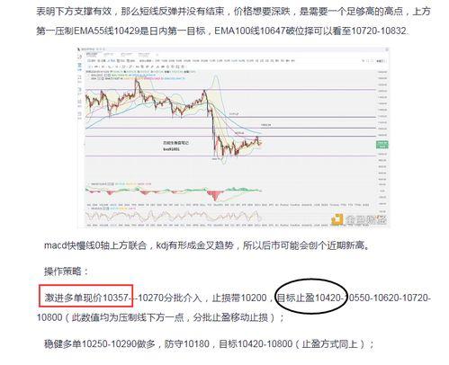 茄瓜行情今日行情分析报告,今日分析报告揭示市场动态与趋势