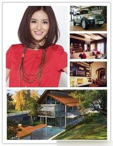 奢华明星网红有哪些,揭秘奢华明星网红的奢华生活