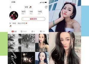 明星网红小达人视频大全,小达人视频大全精彩盘点