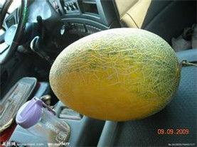 今日哈密瓜产地价格,探寻瓜果市场的最新动态”