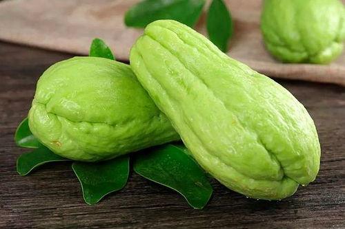 云南泸西姜柄瓜今日价,价格行情一览”