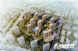 杭州明星网红住的小区