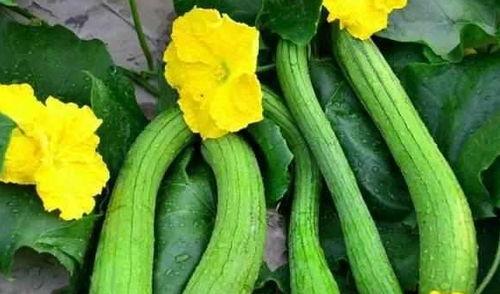 今日之瓜,揭秘娱乐圈最新热点事件