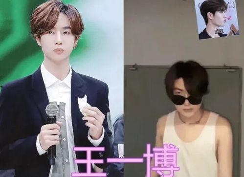 明星网红模仿你礼貌吗,礼貌背后的智慧互动