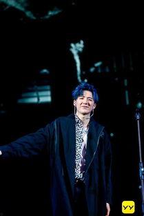 丹东的明星网红是谁