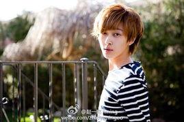 丹东的明星网红是谁