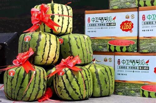 中卫硒砂瓜今日价格,价格行情一览