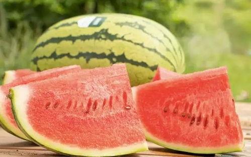 宁夏瓜产地今日行情,丰收喜悦与市场共赢”