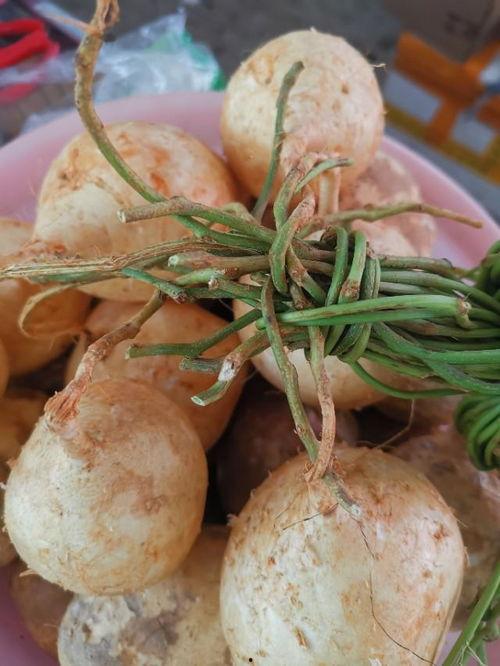 今日菜价麒麟瓜,新鲜上市，品味夏日清新