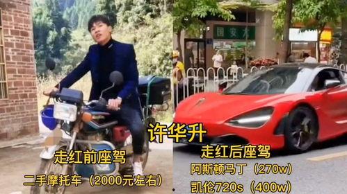 大明星网红说车,大明星网红带你领略汽车世界风采