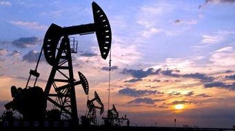 瓜州桥湾油价今日价格最新,涨跌动态一览