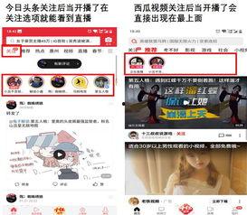 今日头条小瓜直播,今日头条新晋热门直播平台，带你领略直播新风尚