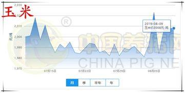 云南扁瓜今日价格走势