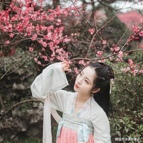 桃子明星网红图片头像,揭秘明星级桃子头像背后的故事