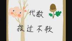 小瓜今日行情最新消息,今日最新价格动态一览