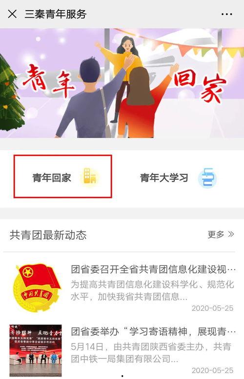 小瓜今日行情最新消息,今日最新价格动态一览