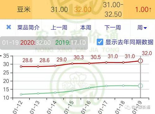 小瓜今日行情最新消息,今日最新价格动态一览