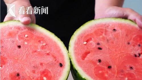 沙特瓜多少钱一斤现在价格今日,一斤多少钱的行情速览