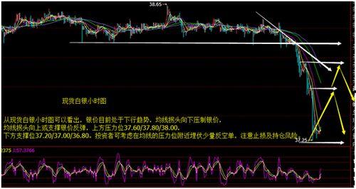 乳瓜今日行情走势分析图,今日走势深度剖析