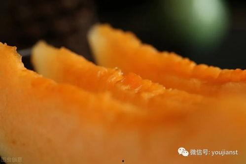 进口蜜瓜今日份到货时间