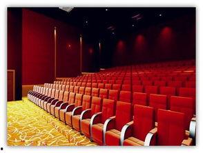 瓜山村电影院今日影讯,精彩影片轮番上映，观影指南速览