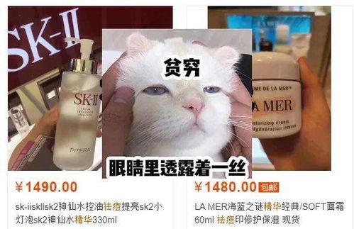 精华液明星网红推荐