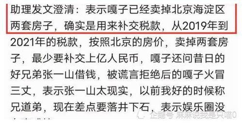 明星网红税收多少亿以上,财富背后的税收风云