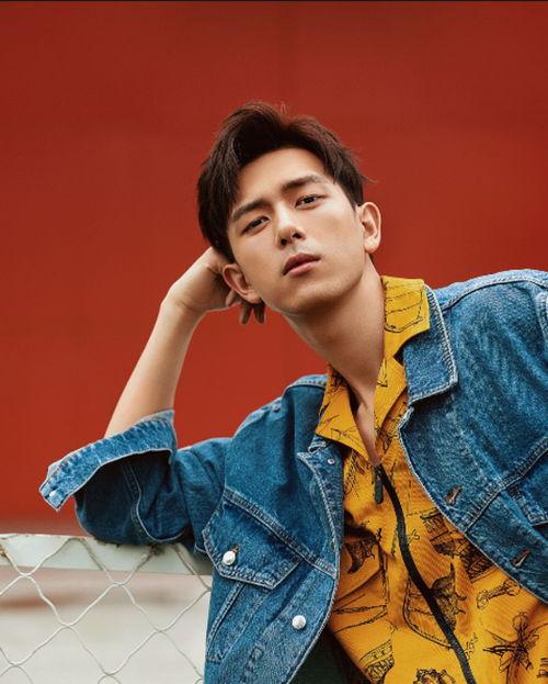 家在河南的明星网红,河南明星网红风采掠影