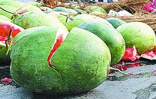 今日瓜大盘点,娱乐圈新鲜事一网打尽