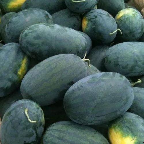 湖北西沙瓜今日价格,价格行情一览”