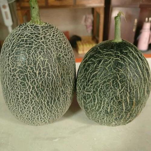 哈密瓜价位今日行情,价格波动解析