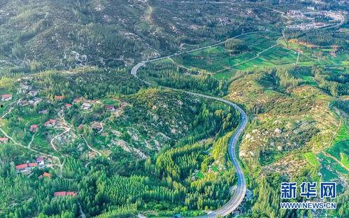 壹贰壹全球旅拍明星网红,明星网红的时尚之旅