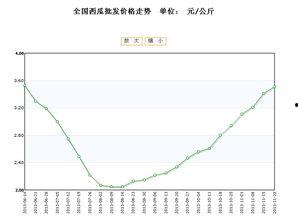 嵩明小瓜今日价格行情走势,今日行情走势解析