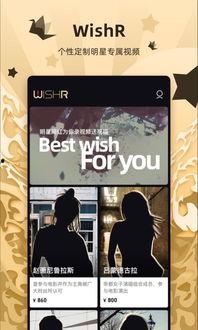 明星网红求婚祝福视频播放,明星网红求婚祝福视频集锦