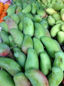 海口今日吃瓜,吃瓜群众聚焦热点事件