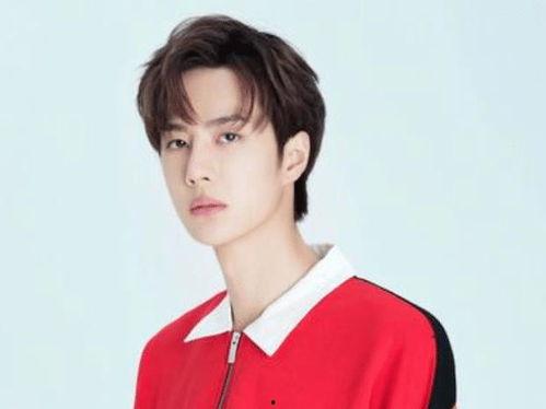 周姓明星网红是谁,揭秘娱乐圈新晋人气王